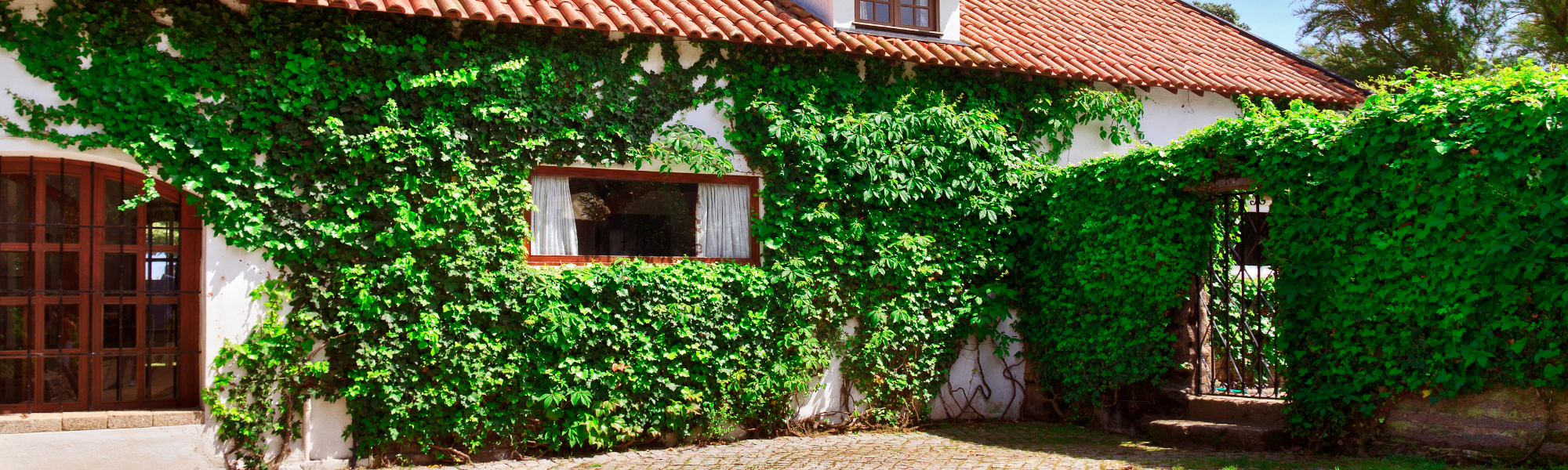 Pisos y casas en venta y alquiler en Azuaga. VENDESUR INMOBILIARIA DE LA CAMPIÑA SUR SLU en Azuaga